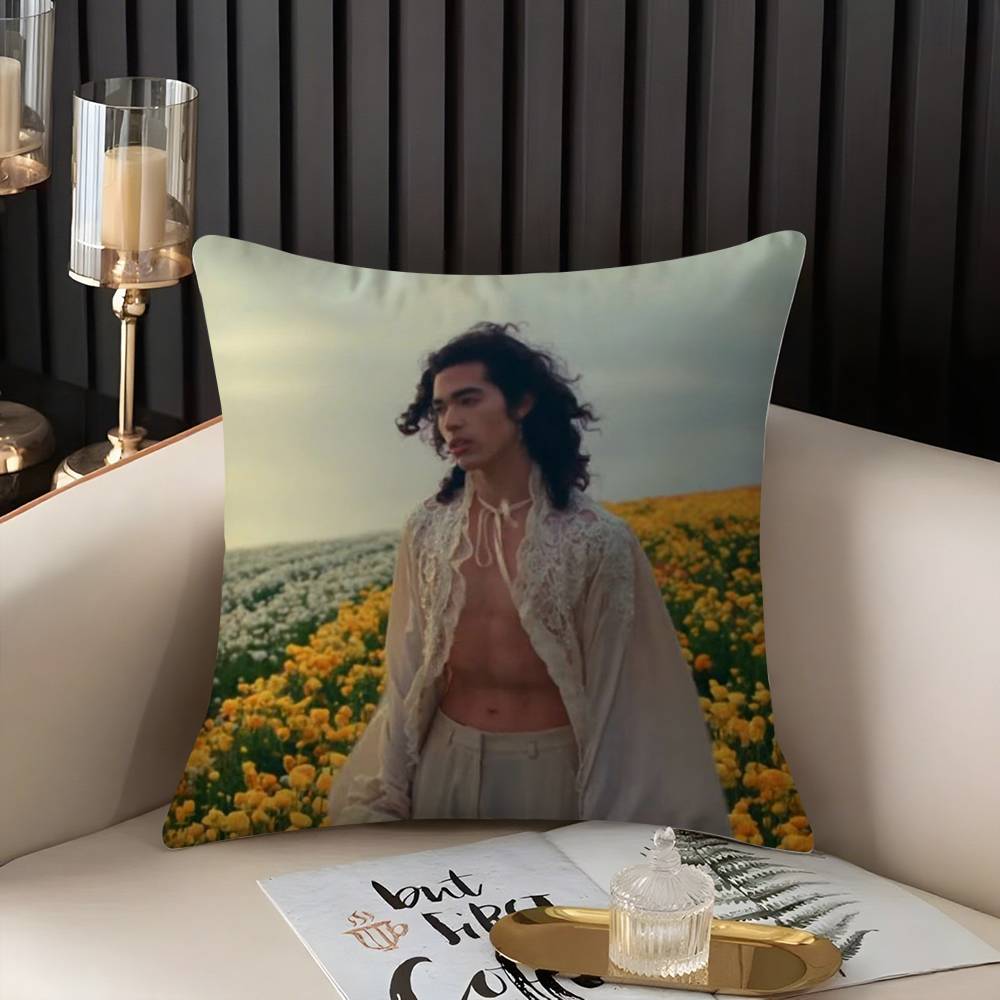 Conan Gray Holidays Pillow Case Home Dorm Chair Back Short Plush Double-Sided Printing Office Nap Time Cushion Cover