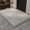 Entrance Door Mat Foyer Door Mat Household Anti Dirt and Dust Removal Entrance Door Mat