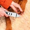Electric Dog Nail Clippers for Dog Nail Grinders Rechargeable USB Charging LED Light Pet Quiet Cat Paws Nail Grooming Supplies