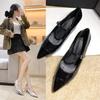 Fashion Pointed-toe Women's High Heels for Autumn 2025 New Versatile Shallow Mouth Wedge Mary Jane Single Shoes