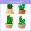 Decoração de casa – Terrários decorativos