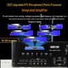 Songchuan International SP101 Home KTV Professional Audio System CN Plug (adapter Included) (CN Version)