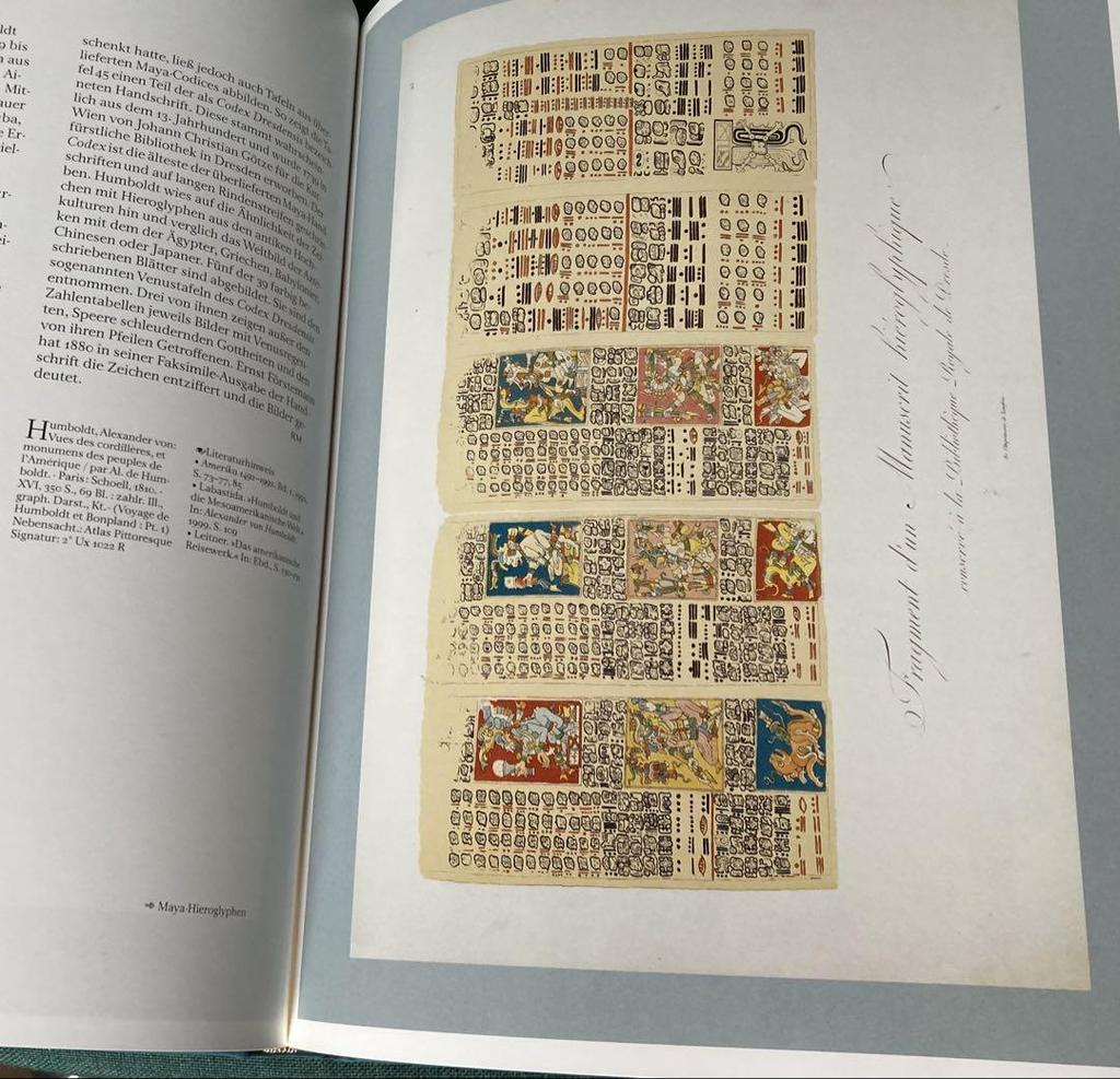 [USED] Rare Berlin State Library Collection: Many illuminated manuscripts and other materials. Foreign books.