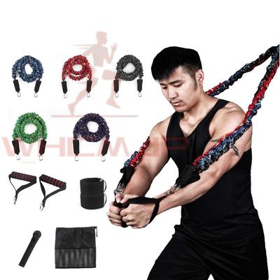 Set di Elastici di Resistenza da 11 Pezzi con 1 Ancoraggio per Porta, 2 Cavigliere, 5 Fasce Elastiche di Diverse Tensioni e 2 Maniglie, 1 Borsa per la Conservazione