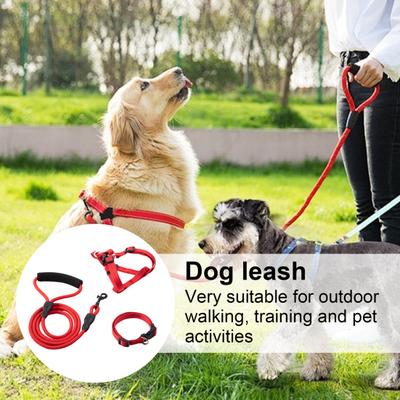 Köpek – Köpek Tasmaları ve Tasma Kayışları