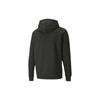 Puma Amplified Graphic Hoodie Sweatshirt Men Tops Black Grey 583517-07