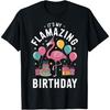 Es ist mein Flamazing Geburtstag Flamingo Geburtstag T-Shirt