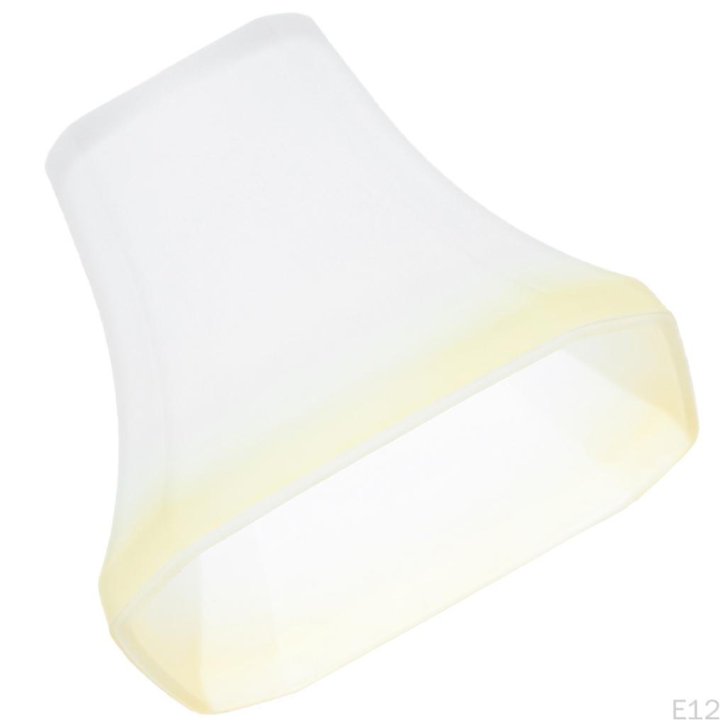 For Ceiling Sconce