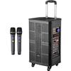 Runpu 10-inch Portable Conference & Karaoke Trolley Speaker (CN version)
