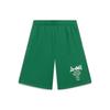 Anything Is Possible Graphic Straight Shorts 'Green' Men's AKST593-3