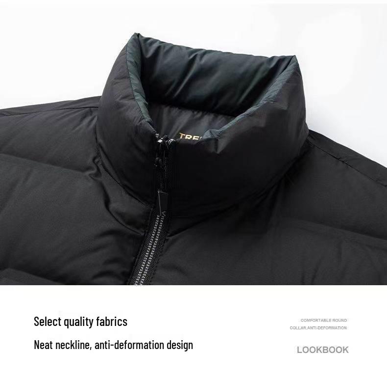 Men's Lightweight Duck Down Jacket - Stand Collar, Winter Warm, Ideal for Business & Casual Wear