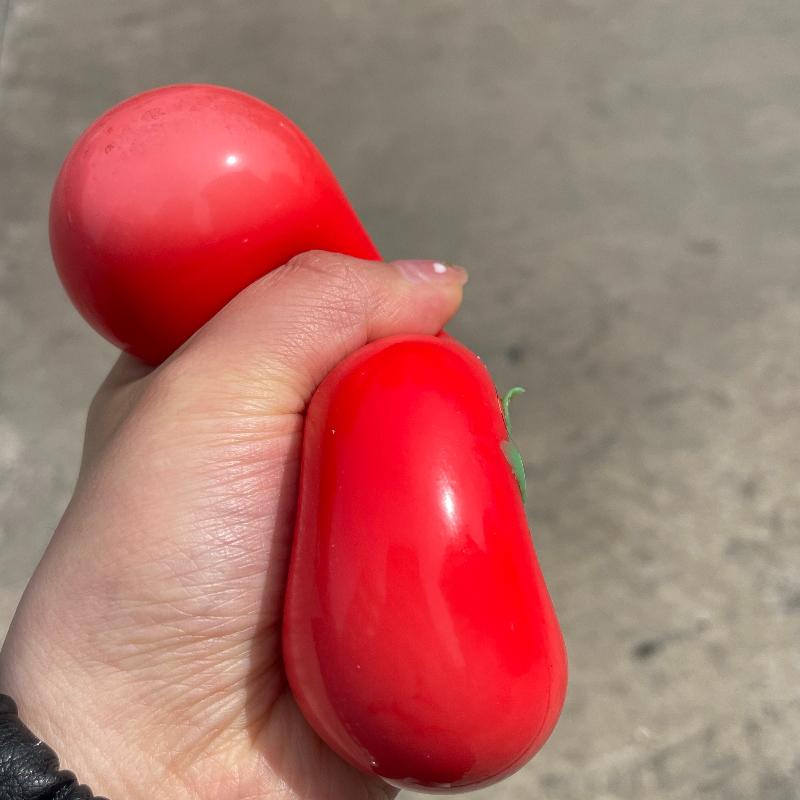 Fake Food Squishy Fluid Tomato Stress Relief Squeeze Toys Slow Rising Simulation Fruit Sensory Fidget Toy Anxiety Relief Gift