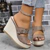 Summer new thick-soled wedge sandals cross-border foreign trade large-size fashion and leisure versatile one-word buckle sandals women