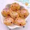 8pcs AB Resin Colorful Flower Shell Figurines Flat Back Cabochon Stone Scrapbook Home Crafts DIY Jewelry Making Accessories