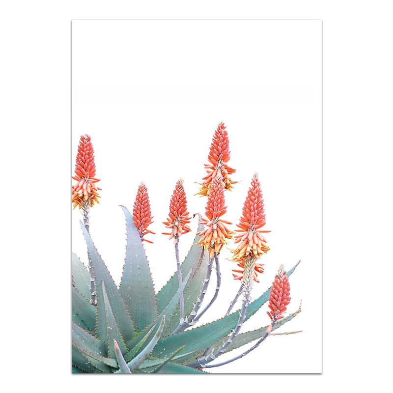 Rosa Blume Leinwand Malerei Nordic Tropische Pflanze Poster und Druck Sukkulenten Kaktus Wand Bild für Wohnzimmer Wohnkultur