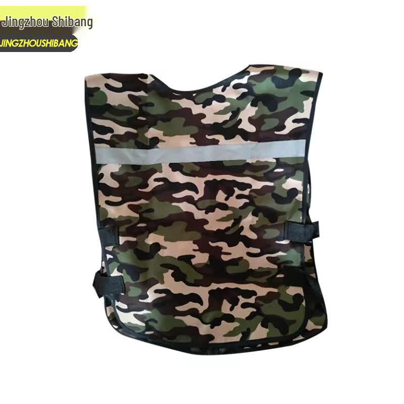Cooling Ice Vest