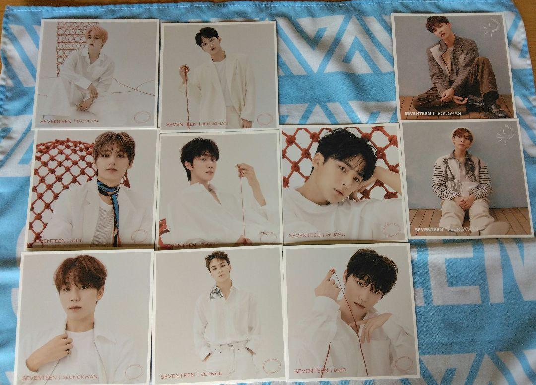 

[USED] SEVENTEEN 24H Falling Petals Card