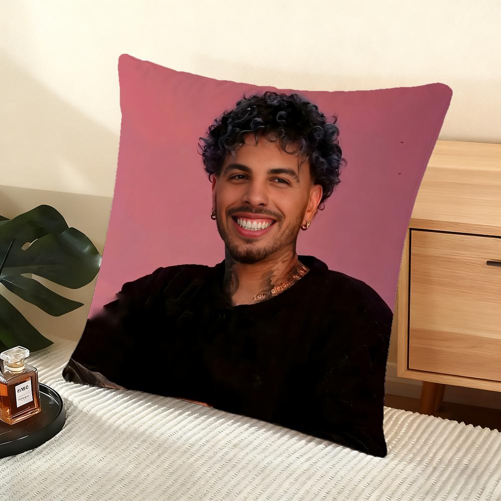 R-Rauw Alejandro Cushion Cover Soft Short Plush Pillow Cover Smooth Cozy Texture Aesthetic Cushion Case Home Decor