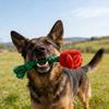 Jouet pour chien en peluche rose avec couineur, jouet à mâcher interactif pour petits et moyens chiens, peluche douce en forme de fleur.