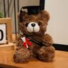 Doctor bear doll wearing doctor hat teddy bear graduation commemorative gift plush toy bear doll