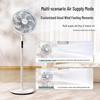 Midea Quiet 7-Blade Pedestal Fan CN plug (adapter included)