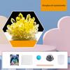 Crystal Planting DIY Scientific Experiment Set Chemical Experiment Educational Toy Handmade Toys Gift for Children Kid