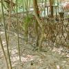 Camouflage Netting 1.5mW Cover See Through Camo Net For Hunting Blind CPDD Sun Shade Camping Anti-mosquito Net Decoration Fence