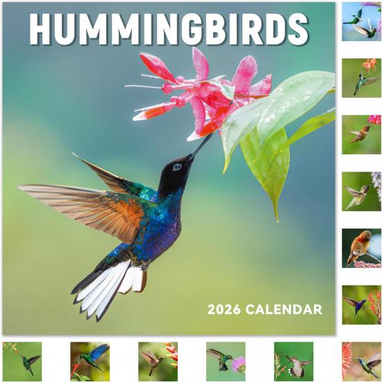 2026 Calendar - 12 Month 2026 Wall Calendar JAN 2026 - DEC 2026, Wall Calendar Large Blocks, 2026 Calendar Wall for Office School Home Organizing &