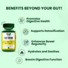 360 Love Plant Based Gut Detox with 11 Natural Ingredients | Supports Metabolism & Healthy Gut | Improves Digestive Health - 60 Veg Capsules