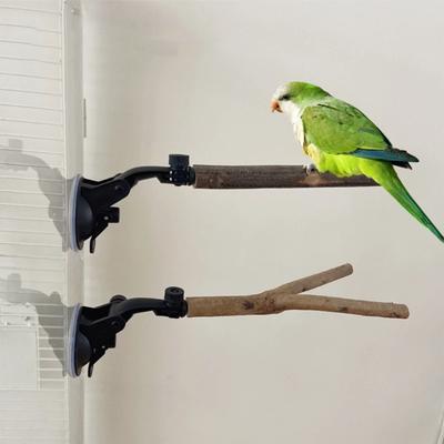 Nueva Perca para Loro Accesorios para Jaula Perchas Soporte Perca de Madera Ventosa Juguete para Pájaro