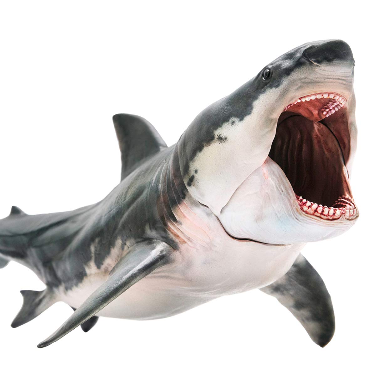 

PNSO Megalodon Great White Shark Patton Shark Marine Animal Biology Fish Figure PVC Model Plastic Model Toy Premium 15.8cm Shark Lover Birthday Presen