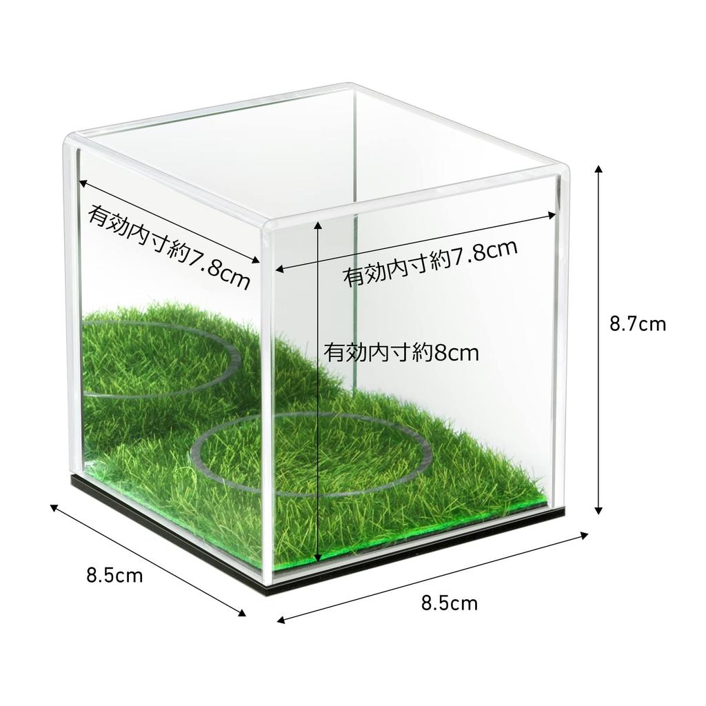 Generic Baseball Ball Case Signed Ball Case Baseball Acrylic Display Case Protection Exhibition Dustproof Square Collection Case Transparent Case