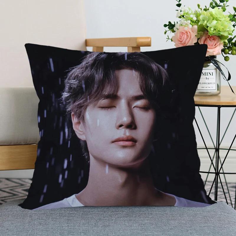 Wang Yibo Pillow Case Chen Qingling For Home Decorative Pillows Cover Square Zippered Satin Fabric Pillowcases 45X45Cm
