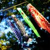 40/70/95cm Japanese Carp Flag Windsock Hanging Fish Flag Kite Colorful Wind Socks Home Garden Decoration Cartoon Fish Flag