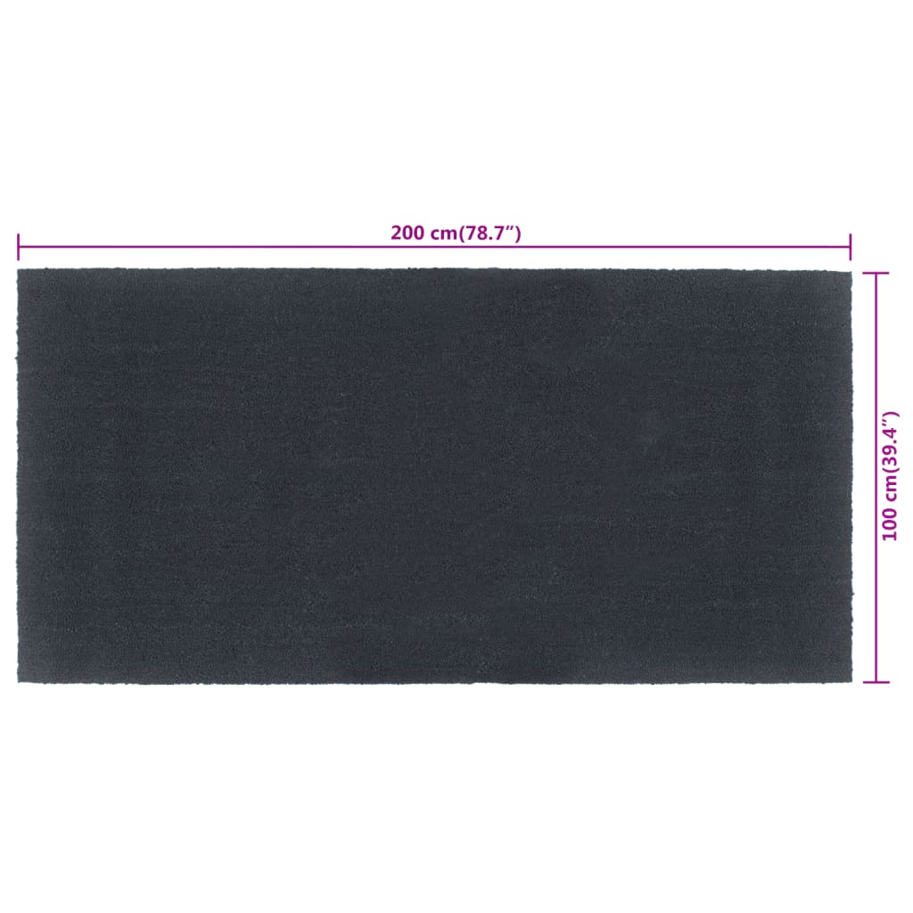 Doormat Dark Grey 100x200 Cm Coir Fiber Tufted