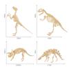 Realistic Archaeological Dinosaur Skeleton Model Diy Assembly Kit For Kids Toys