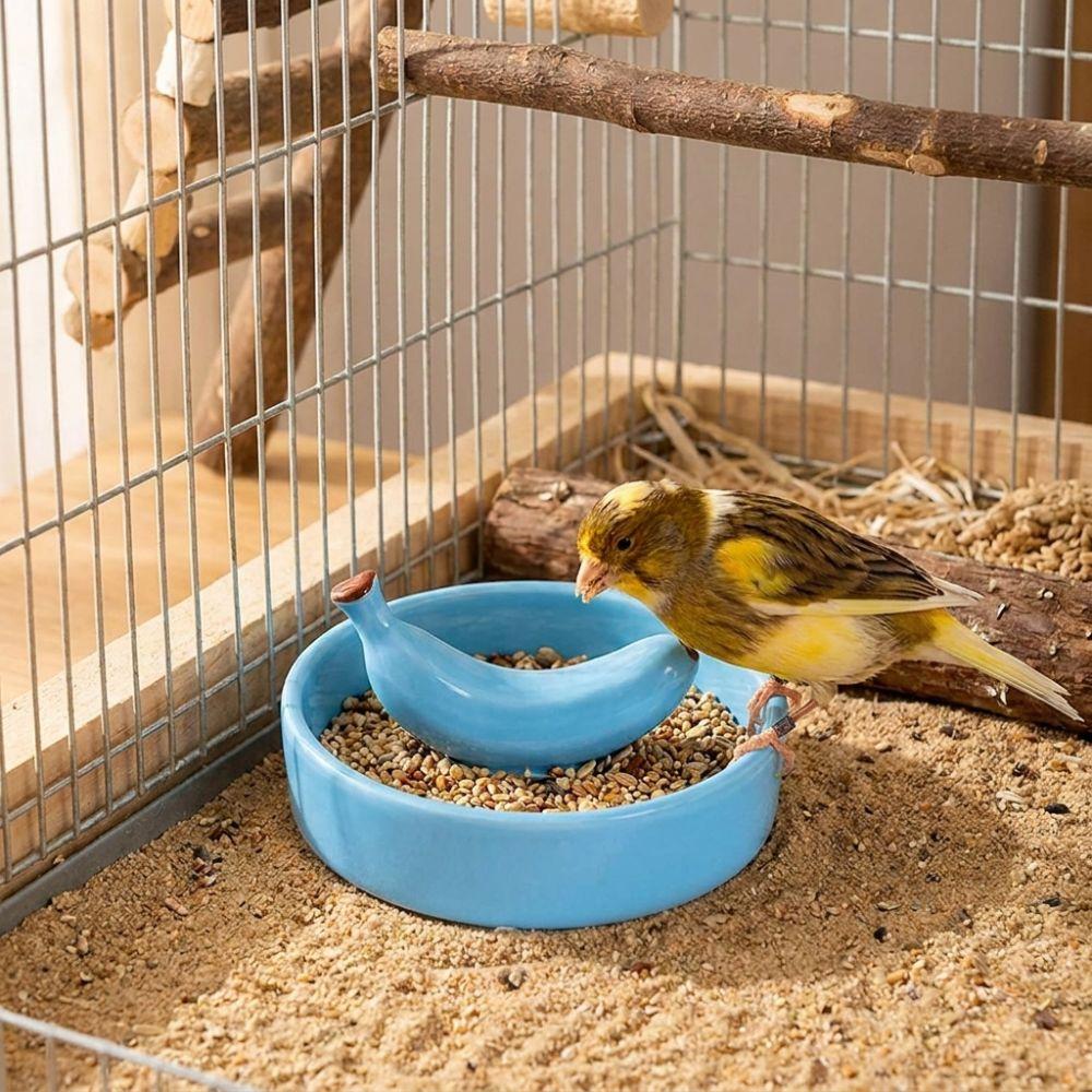 Wide Mouth Pet Feeding Bowl Fruit Shape Tortoise Feeding Dish Bird Feeding Dish  Small Pet