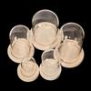 Glass Cloche Jar Display Stand Cover Terrarium Bottle with Wooden Base Acrylic Dust Cover Display Box Immortal Flower Box