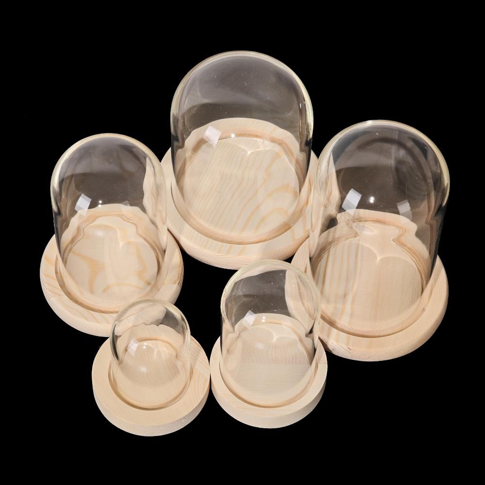 Glass Cloche Jar Display Stand Cover Terrarium Bottle with Wooden Base Acrylic Dust Cover Display Box Immortal Flower Box
