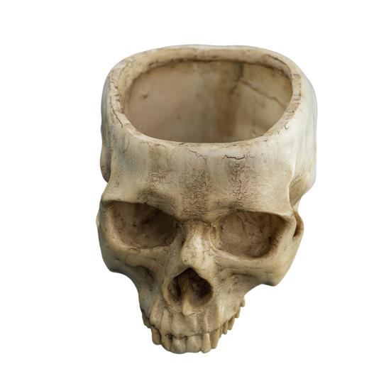 Skull Flower Pot Hanging Human Skull Plant Pot Halloween Candy Bowl Gothic Planter for Succulents Indoor Outdoor Decor
