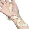 Transparent Scales Small Snake Decompression Pinch Stall Trick Pinch Joint Toy Trendy Play Vipe B8N2