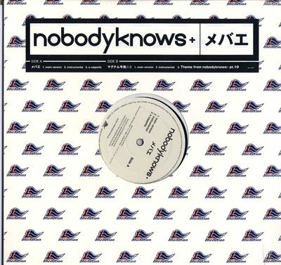 12-Zoll-Schallplatte NOBODYKNOWS+ - Mebae (Blumenkohl) AIJL5255 Onenation 2005 US Pop Gebraucht