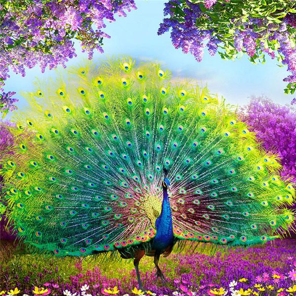 Diamond Painting Peacock Colorful Full Drill Square Diamond Embroidery 5D DIY Needlework Mosaic Art Handmade Gift