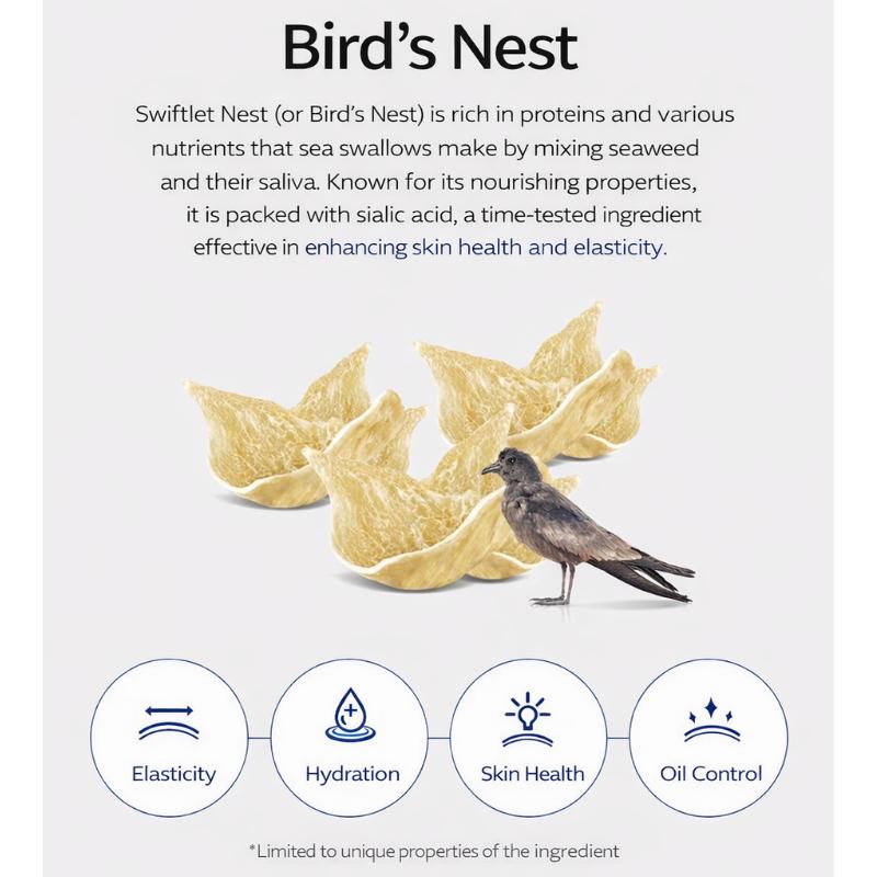 SNP Bird's Nest Aqua Ampoule Mask (10 Sheets Set)