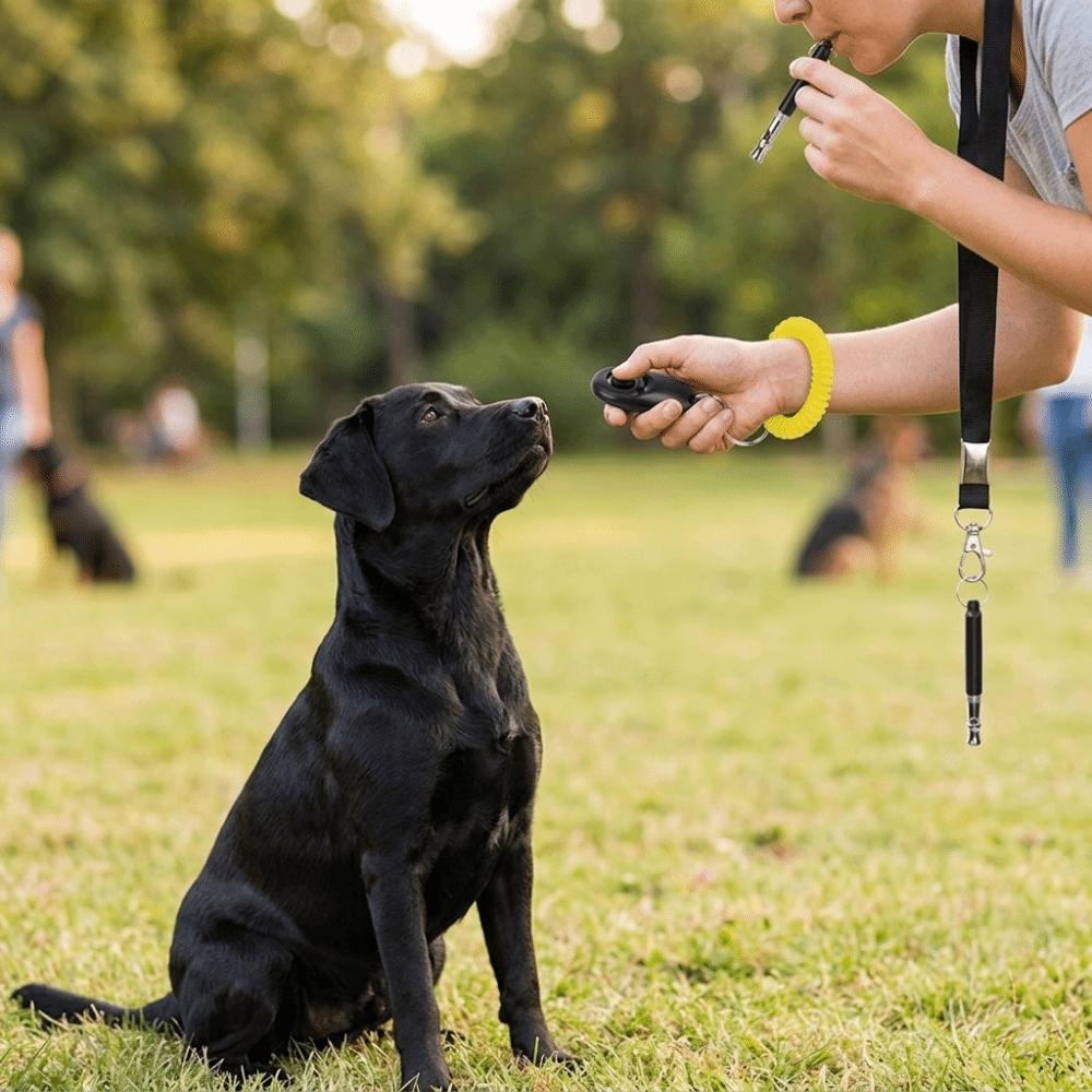 3pcs Loud Pet Training Clicker Adjustable Pet Behavior Trainer  Pet Training