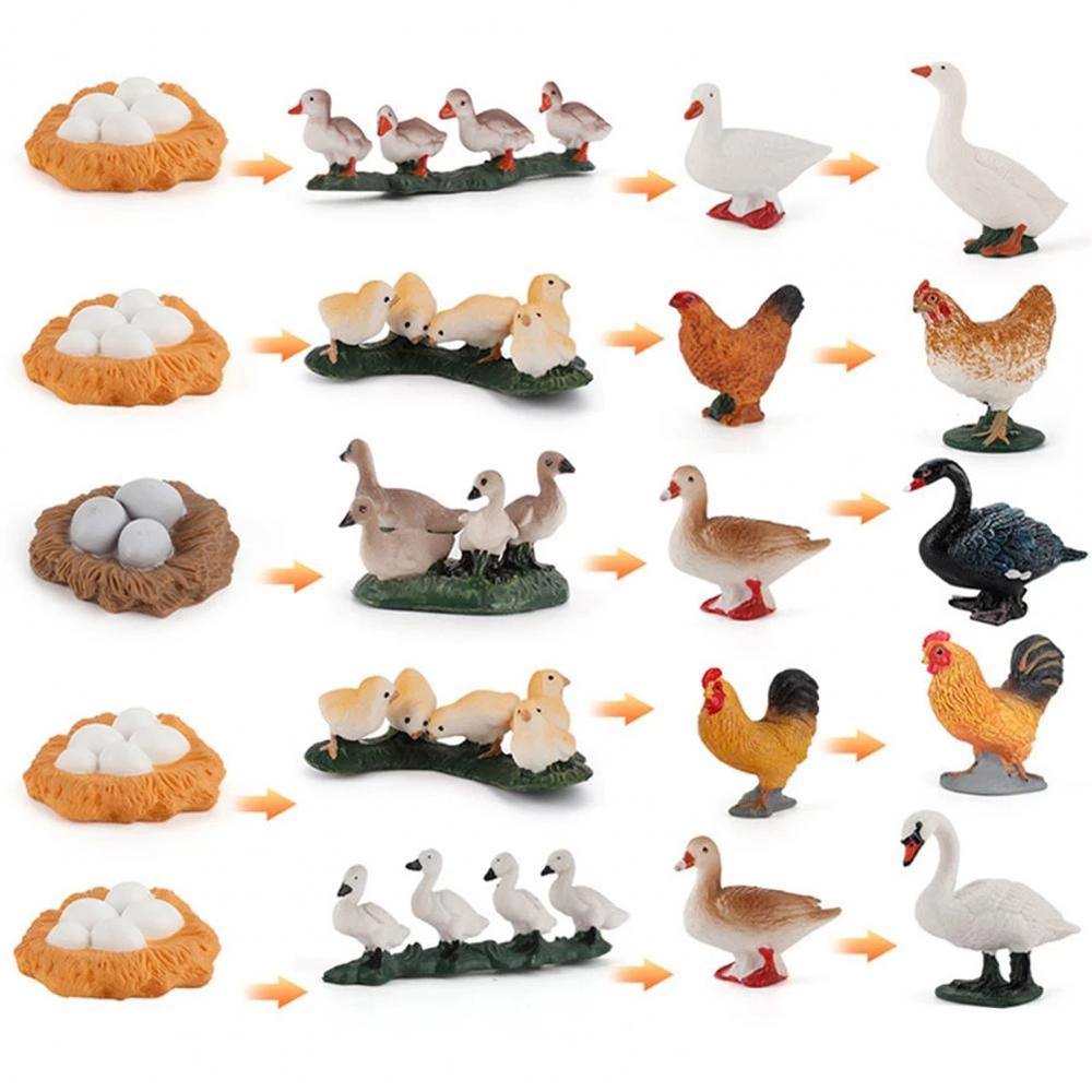 Growth Cycle Miniature Life Cycle Figures Cycle Duck Figurine White Goose Growth Cycle Simulation
