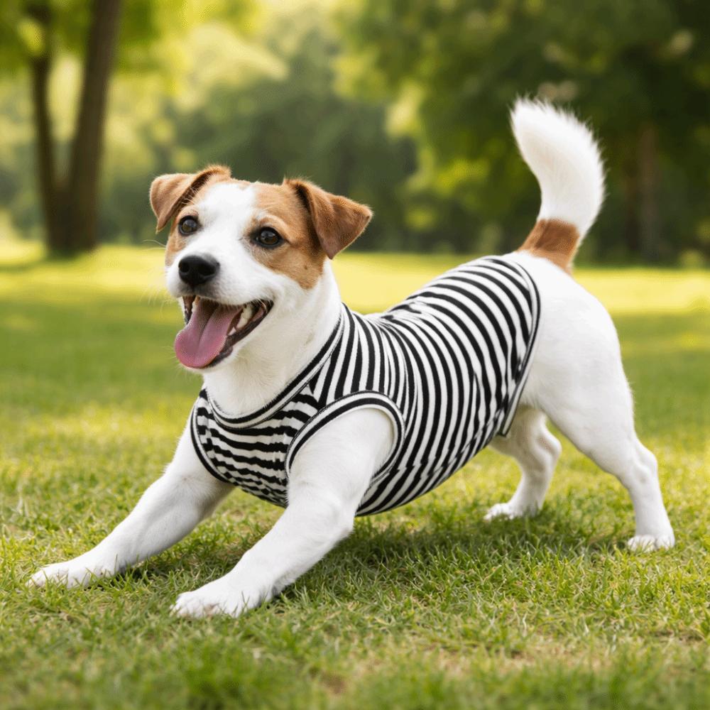 Soft Fabric Dog Cooling Vest Round Neck Puppy Short Sleeve Pet Striped T-Shirt  Spring Summer