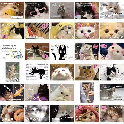 62 pegatinas para álbum de recortes de diario con diseño de gato americano, pegatinas de papelería con bonitos dibujos de gatitos, pegatinas para decoración de bricolaje, pegatinas para equipaje y portátil.