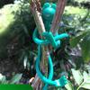 Set of 10 Shapeable Plant Support Tie For Vine Climbing Easy Installation Frog-shape Band Plant Holder