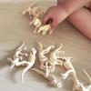 12pcs/set Updated Simulated Dinosaurs Skeleton Toy Model Realistic Animals Brachiosaurus Rex Toys For Children Christmas Gifts